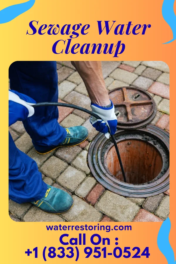 Sewage Water Cleanup in Duson, LA